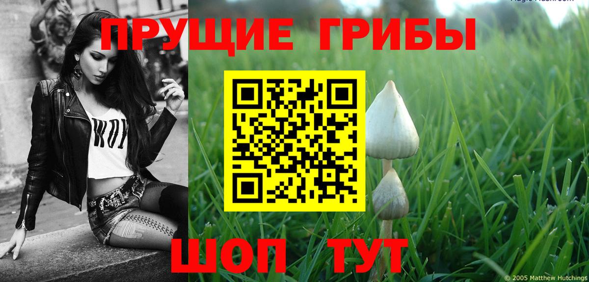 Псилоцибиновые грибы прущие грибы Кыштым